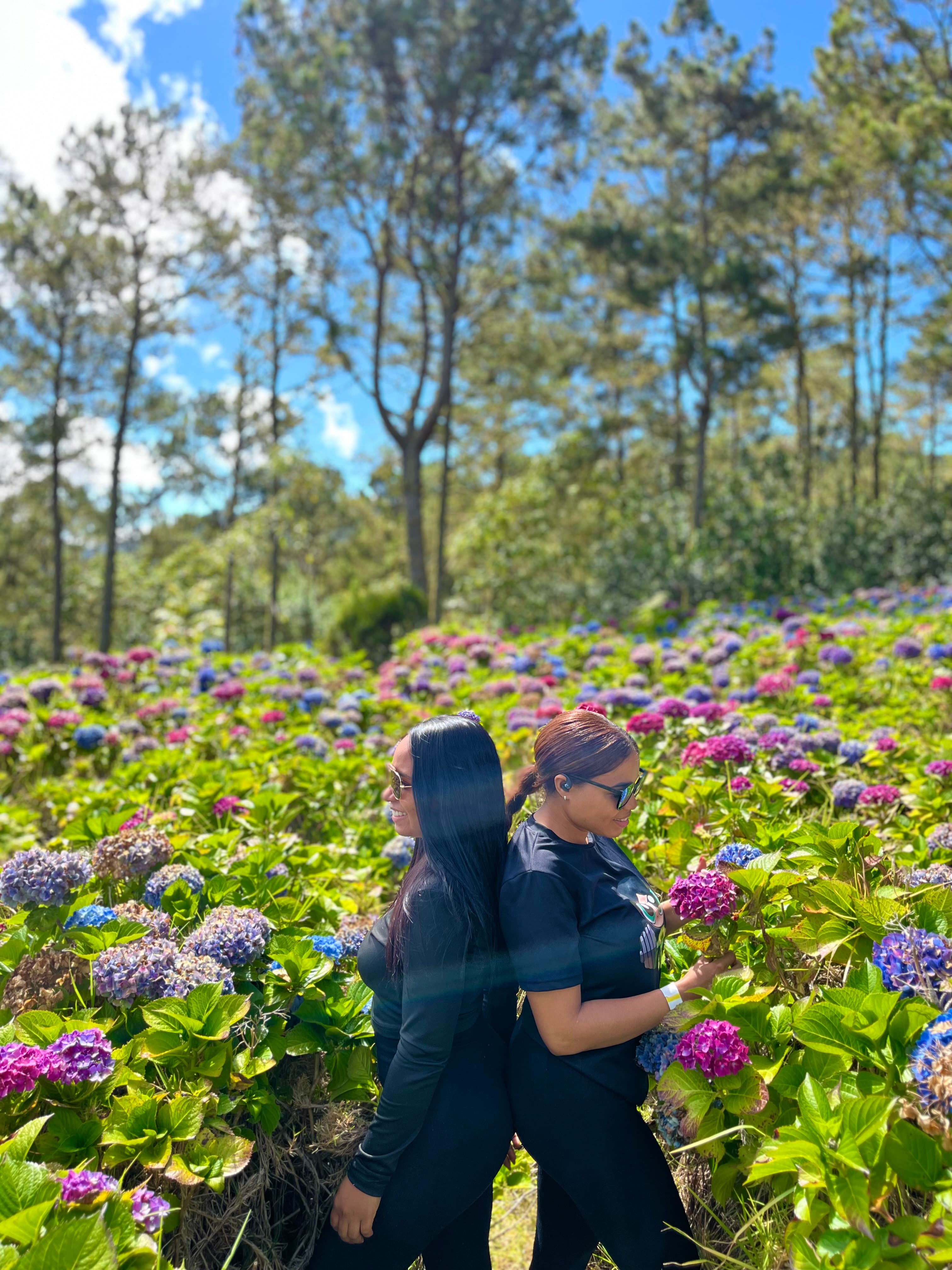 Participantes disfrutando del Jardin de Hortensias.
